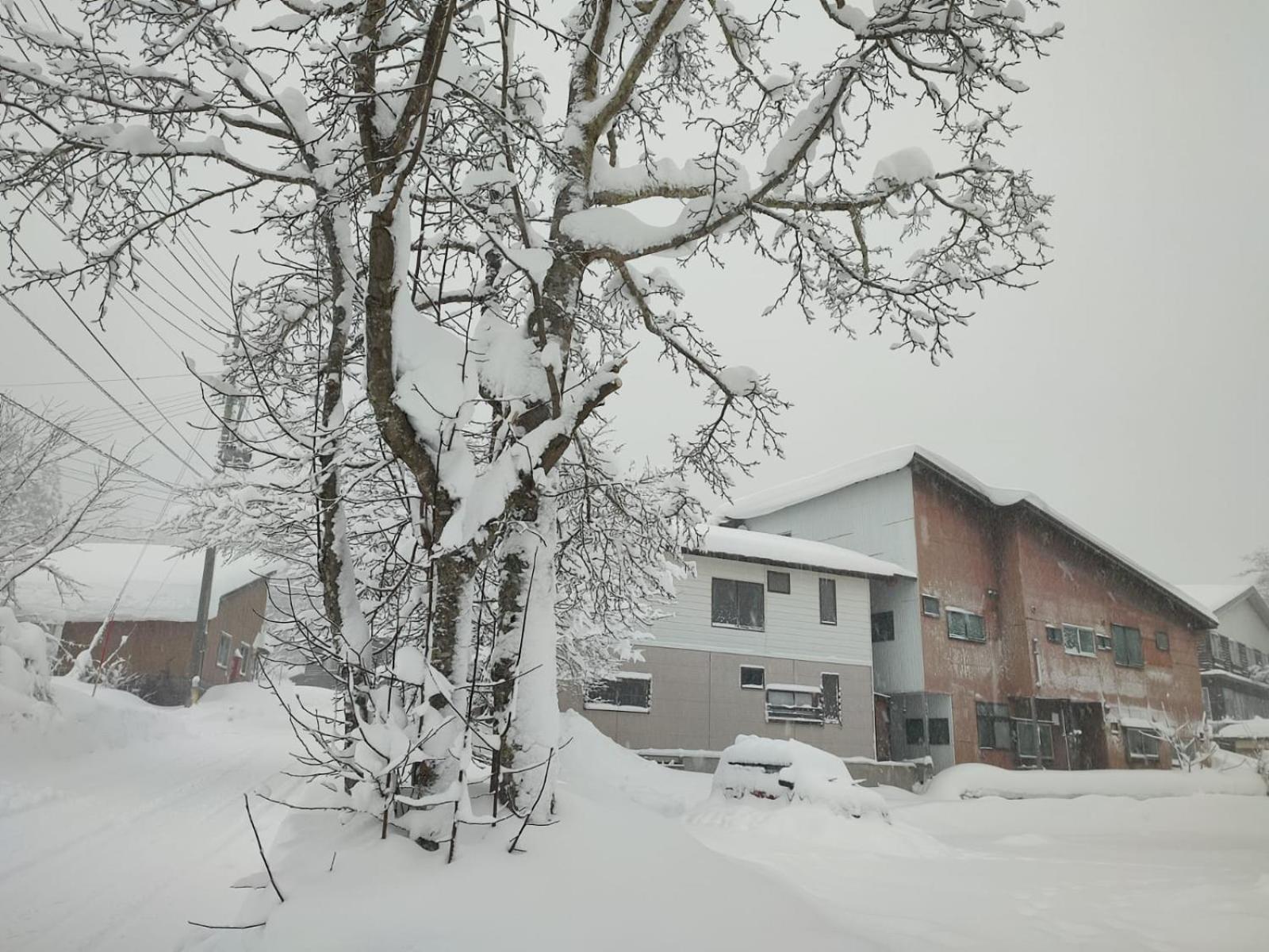 Peuf Lodge Otari Buitenkant foto